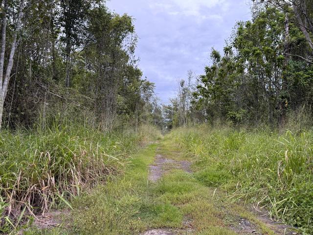 35 Acres Freehold Development Land | Main Road Frontage | Jitra, Kedah 1
