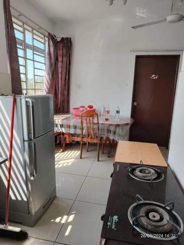 University Apartment Phase 2 1