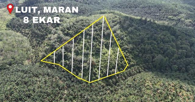 Freehold Tanah Pertanian 8 ekar di Luit Maran 1
