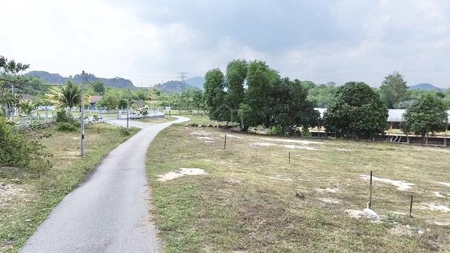 FREEHOLD NON BUMI LOT 2 ACRE RESIDENTIAL LAND Padang Sebang 1