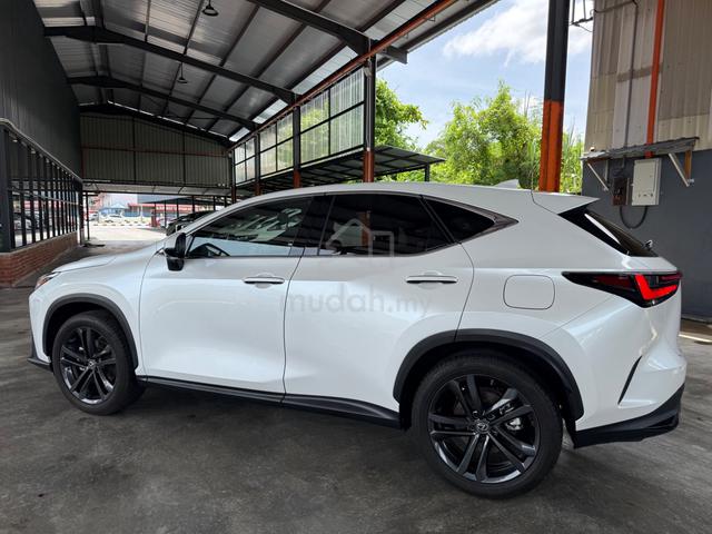 2023 Lexus NX 250 2.5 LUXURY (A) - 4