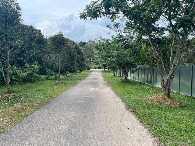 1.15 Acre Freehold, Agri Land Kundur Pedas with small house 1