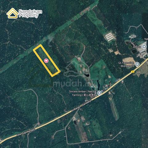 Mile 20 Agricultural Land For Sale 1