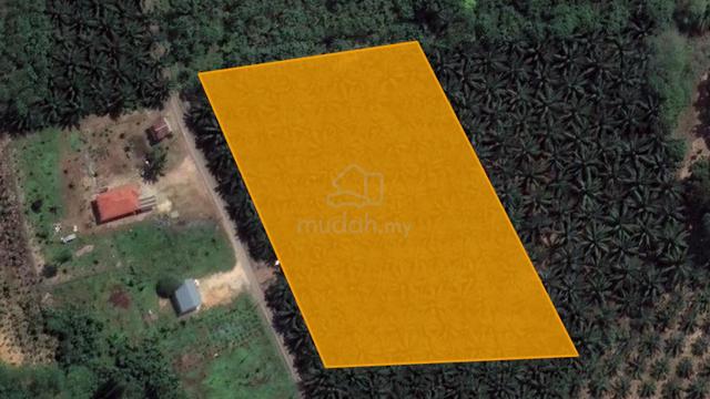Tepi Jalan Tanah Pertanian 2.4 Ekar Ledang Tangkak Johor 3
