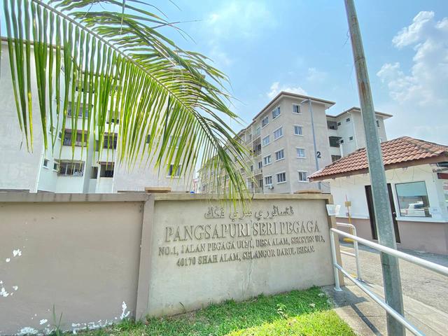 Seri Pegaga 1