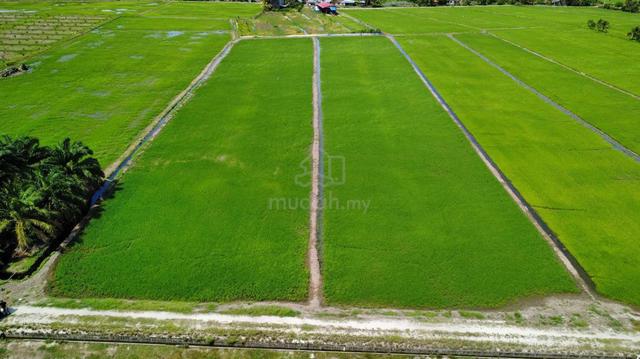 tanah dekat sekolah & klinik untuk dijual🌾🌳🔥 1