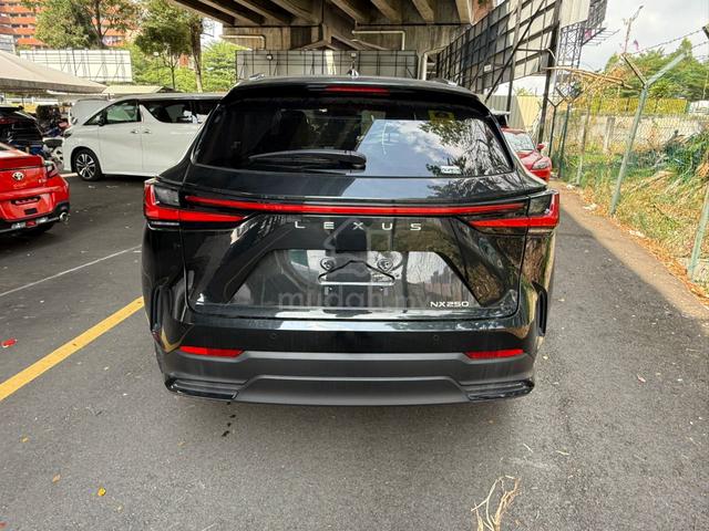2022 Lexus NX250 2.5 LUXURY (A) PANORAMIC ROOF - 5