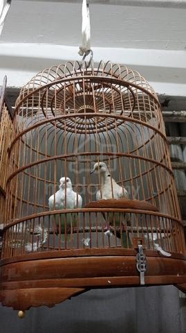 Carousel Image