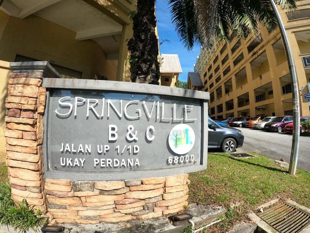 Spring Ville 1