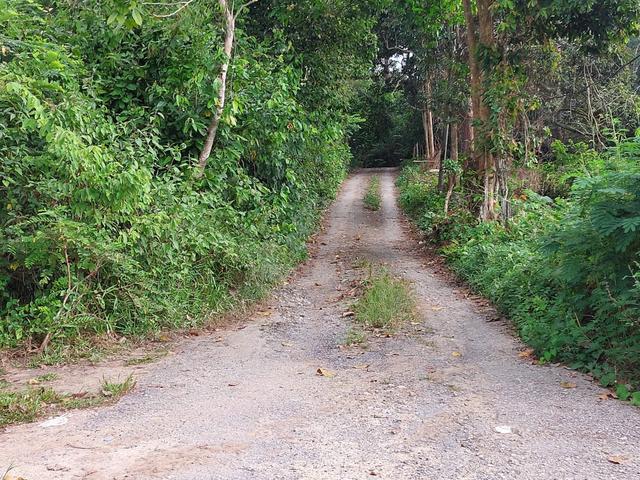 Tanah pertanian Lenggeng Negeri Sembilan 1