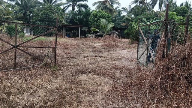 Tanah 1 arce untuk dijual-Bukit Belandok Tanah Merah Site A 1