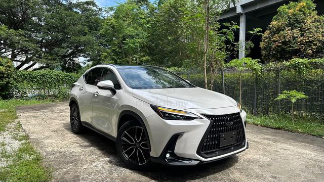 2023 Lexus NX250 2.5 VERSION L P/ROOF HUD BSM - 3