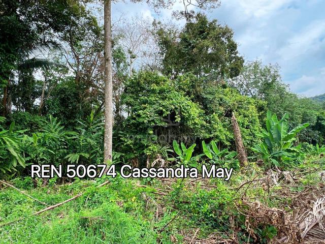 Freehold Main Road Frontage Old Rubber Trees Agriculture Land Tampin 5