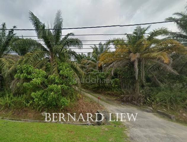 8.66ac Jln Sg Kechil Roadside First Grade Oil Palm Land FOR SALE 1