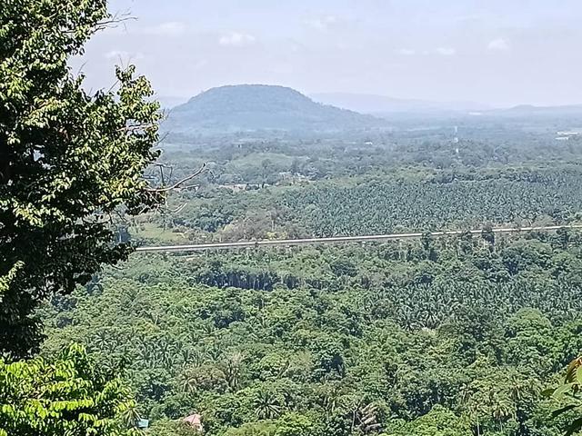 Tanah Atas Bukit Untuk Dijual- Chenor Pahang 1