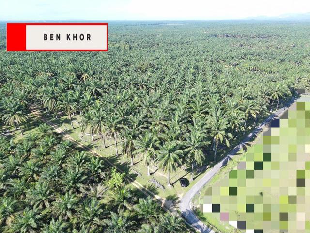 15 Relung | Agricultural Land | Beautiful Terrain| Selama | KEDAH 1