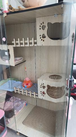 Carousel Image