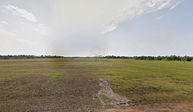 Tanah Zoning Pertanian Di Daerah Barat Daya, Penang (Balik Pulau) 1