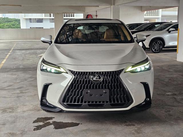 2023 Lexus NX250 2.5 LUXURY (A) WHITE COLOUR - 3