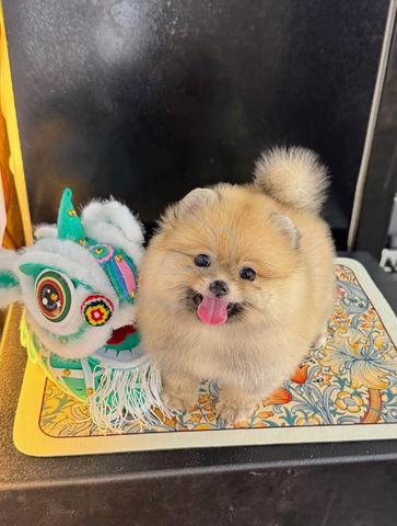 Carousel Image
