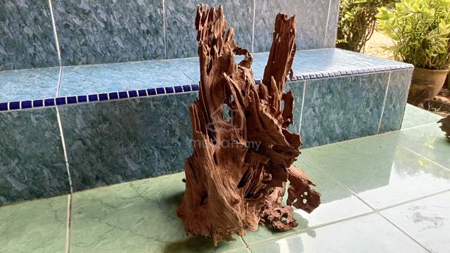 driftwood terrarium paludarium aquascape - photo 2 of 4