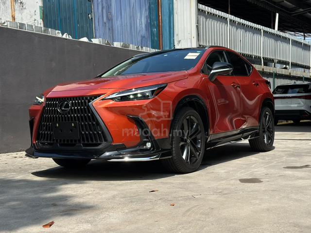 Lexus NX 250 Luxury Orange Color Rare In Market 1 - 3