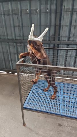 Carousel Image
