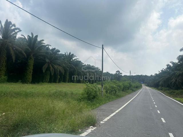 Tanah Untuk Dijual! Mukim Kota Tinggi, Johor – Luas 0.5802 Hektar 1