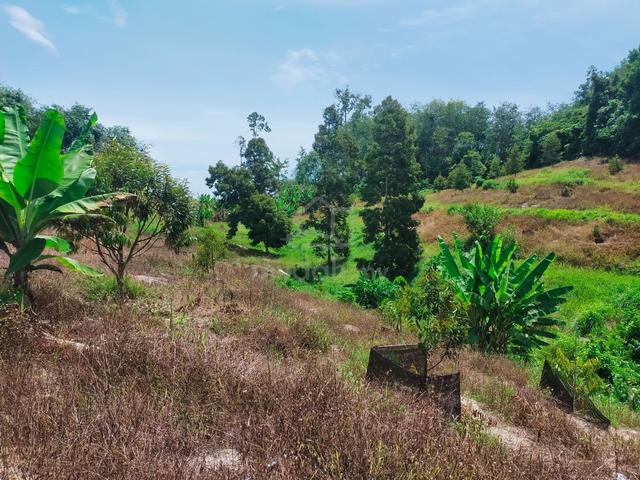 Lenggong Ayer Karah Durian Land 5