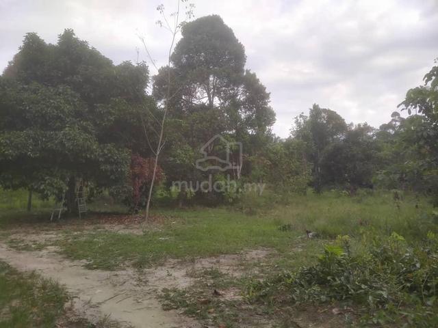 Tanah rumah dusun murah lekas tol mantin nilai 1
