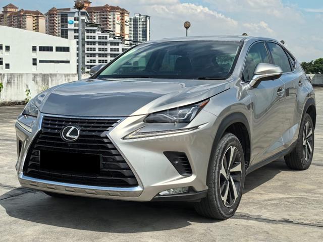 2018 Lexus NX 300 2.0 PREMIUM (A) ONE OWNER - 1