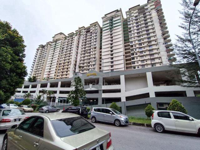 Venice Hill 1