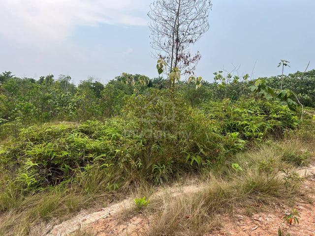 Serendah hot land for sale | 1.73 acres  1