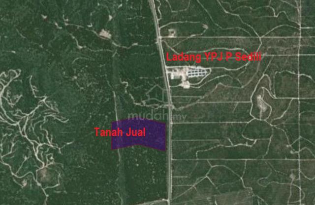 Tanah Pertanian 20 ekar, tepi jalan besar Kota Tinggi ke Sedili 1
