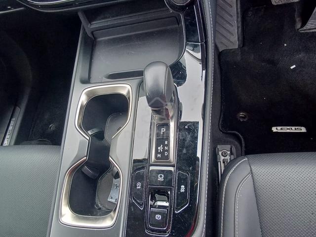 2023 Lexus NX250 2.5standard (A)03445 - 4