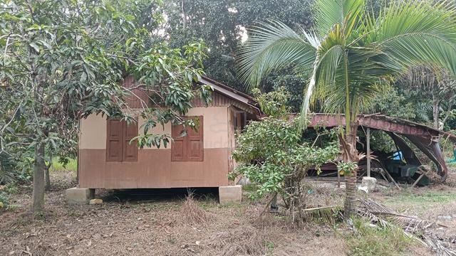 Kebun Buah-buahan di Karangan, Kulim, Kedah 1