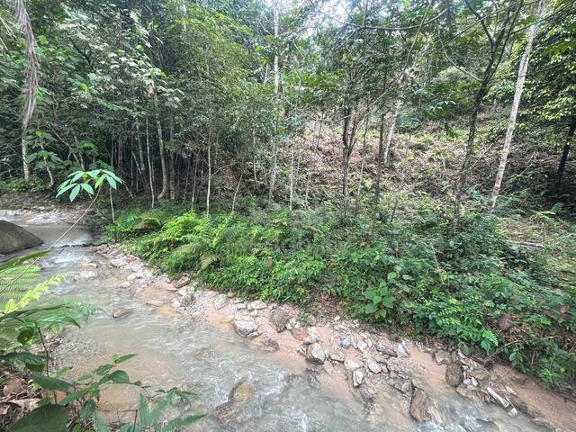 Tanah utk dijual |Tanah di Rawang|Murah|Besar 1