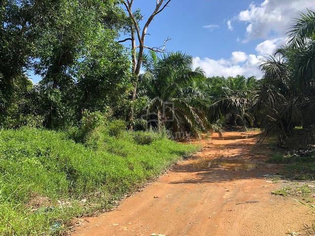 Kota Tinggi 40 Acre Zoning Industrial Land Beside Main Road 1
