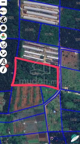 Agriculture Land For Sale 1