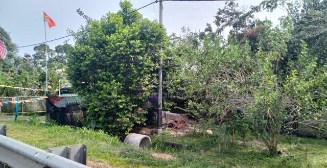 3.4 Ekar Tanah Getah Tua Jalan Muar Segamat Johor 1