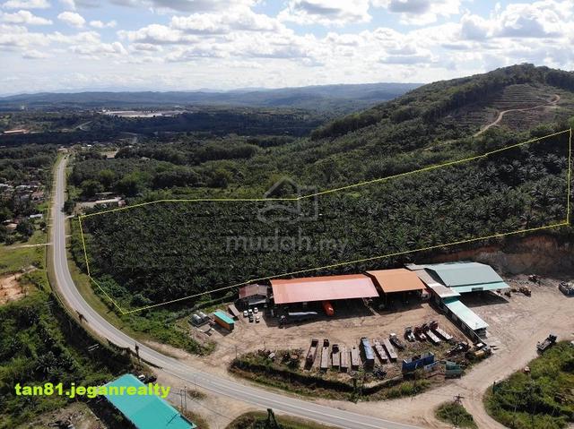 Keningau nabawan Tawau (Roadside) Palm Oil Land. CL15acs (For Sale) 1