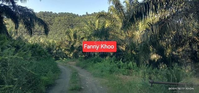Palm Oil Land for Sale | Kunak | Lahad Datu | Tawau 1