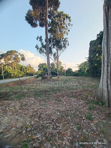 Tanah Tepi Jalan Untuk Dijual 1
