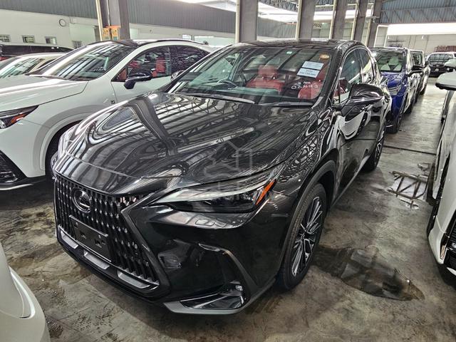 2023 Lexus NX250 2.5 LUXURY (A) RED LEATHER SEAT - 2