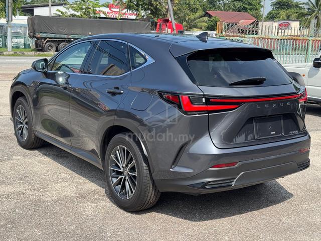 2024 Lexus NX250 2.5 STANDARD(A)Grey,Grade5A,13Kkm - 5