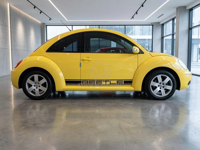 Volkswagen beetle 2009 - 4