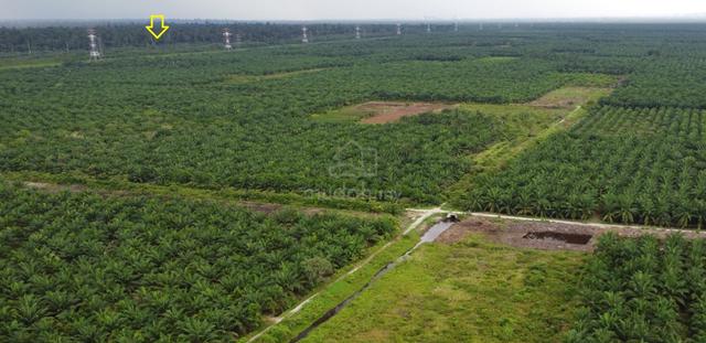 5 ekar Sepang dekat KLIA , Sg Blankan Mukim Sepang 1