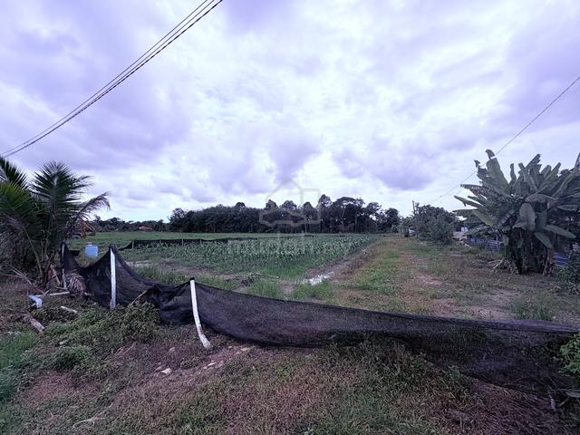 Sales Land Tasek Simpang Ampat 1