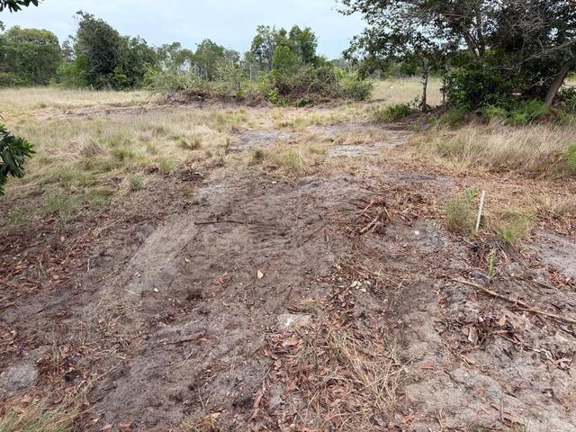 Terengganu Setiu Residential Leasehold Land For Sale 1