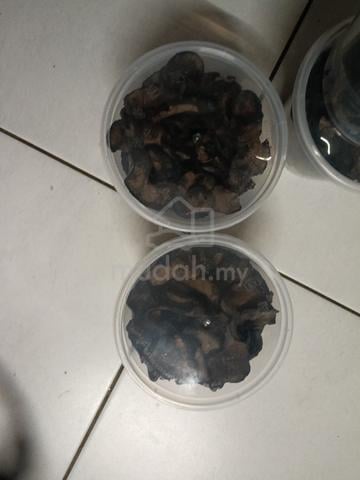 Asam Gelugor Muslim  - photo 2 of 2
